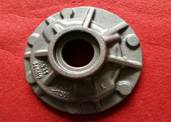 دقيقة البعد منتجات الحديد الزهر حالة التفاضلية OEM المتاحة